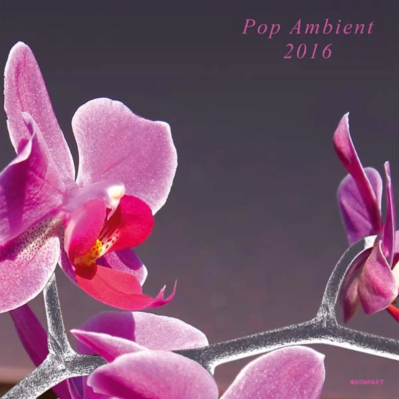 Va Pop Ambient 2016