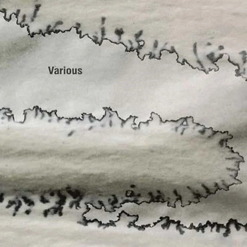 Va Various