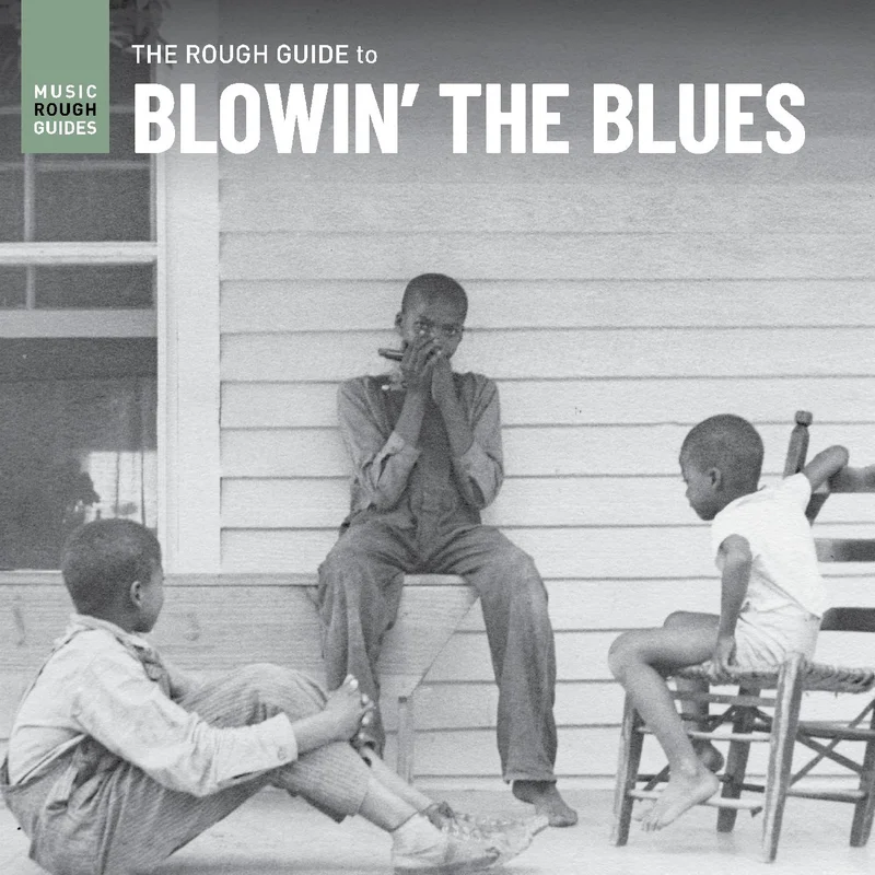 Various Artists Rough Guide To Blowin The Blues