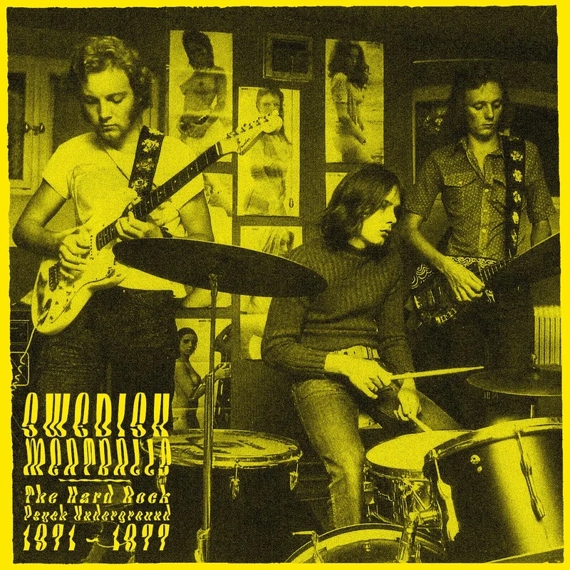 Various Artists Swedish Meatballs - The Psychedelic Hard Rock Underground 1971-1977