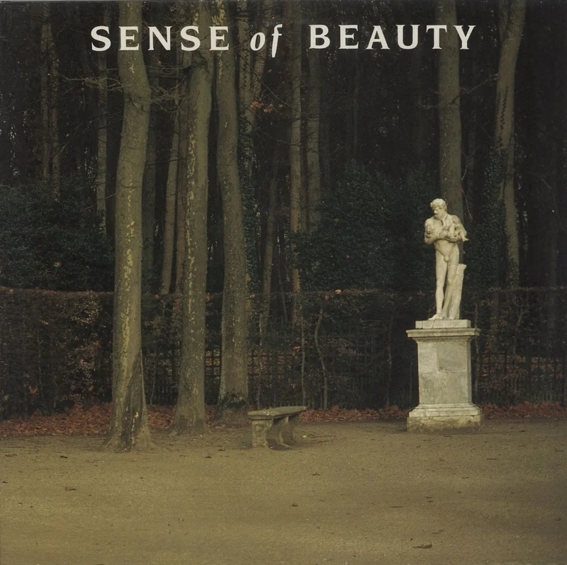 Various-Classical & Orchestral Sense Of Beauty Norwegian Vinyl LP