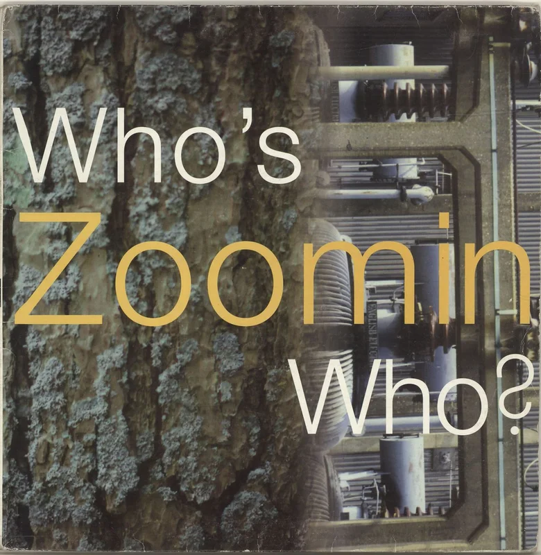 Various-Dance Who's Zoomin Who UK 2-LP vinyl set