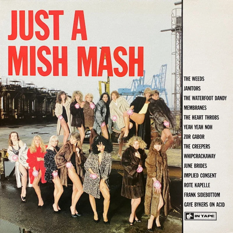 Various - Just A Mish Mash