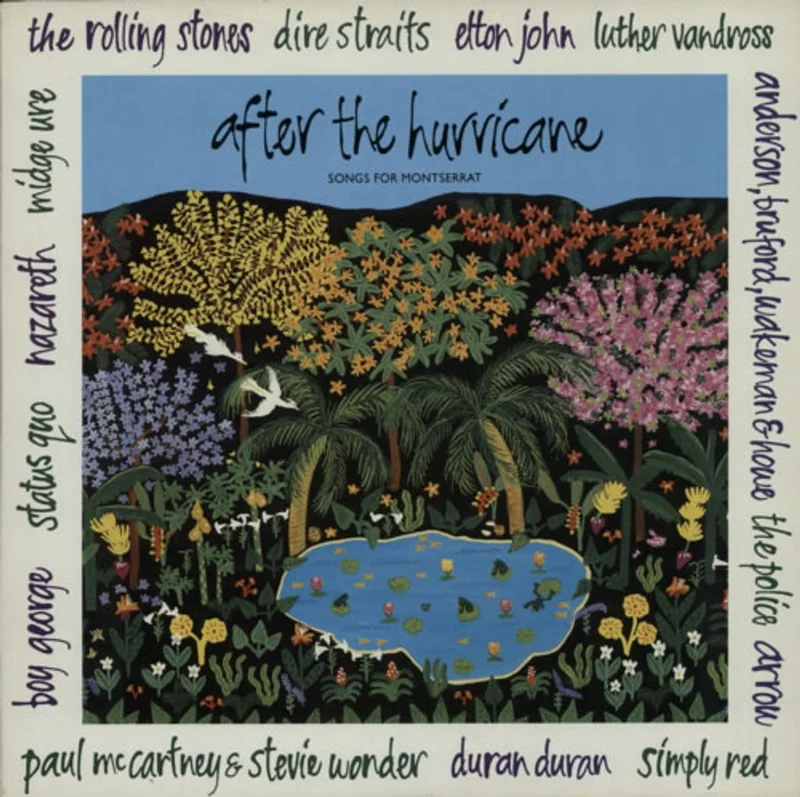 Various-Pop After The Hurricane UK Vinyl LP