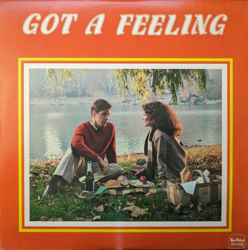 Various - Tee Vee Records Presents Got A Feeling