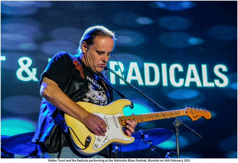 Walter Trout and the Radicals performing at the Mahindra Blues Festival, Mumbai on 16th February 2013 (Photo Frame)