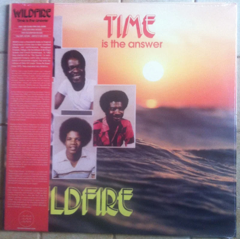 Wild Fire - Time Is The Answer