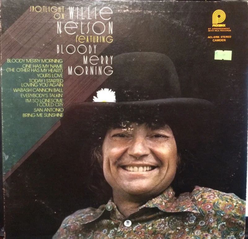 Willie Nelson - Spotlight On Willie Nelson