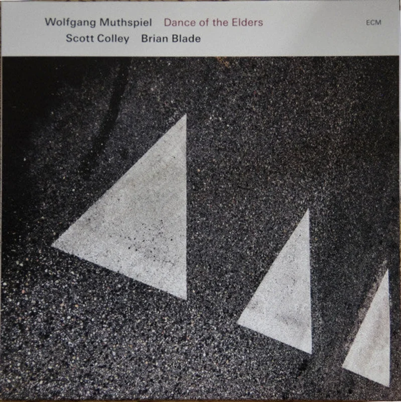 Wolfgang Muthspiel, Scott Colley, Brian Blade - Dance Of The Elders