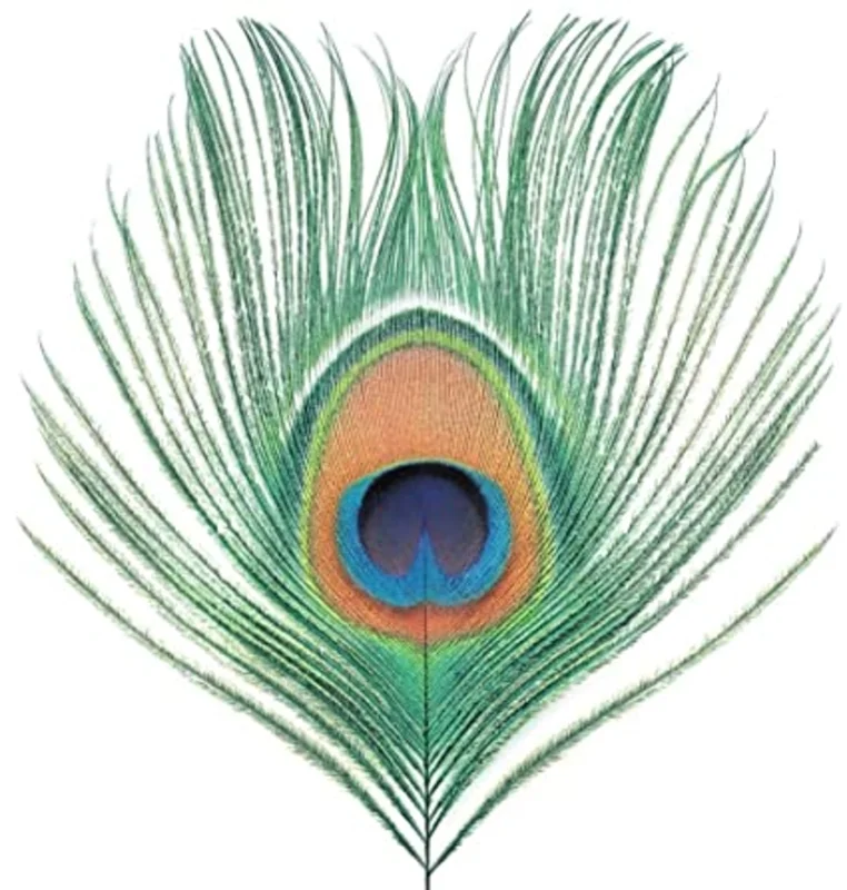 Xtc Apple Venus Vol. 1 (200 Gram Vinyl) [Import]